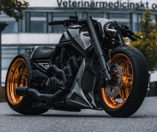 Harley rod vrsca custom 1 - harley,